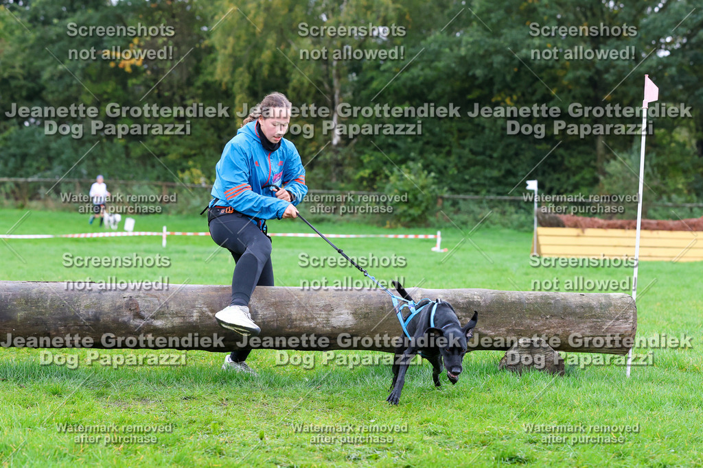 Dog Paparazzi -  SD1026-1884 | Dog Paparazzi Jeanette Grottendiek Fotografie & Videografie - Realisiert mit Pictrs.com
