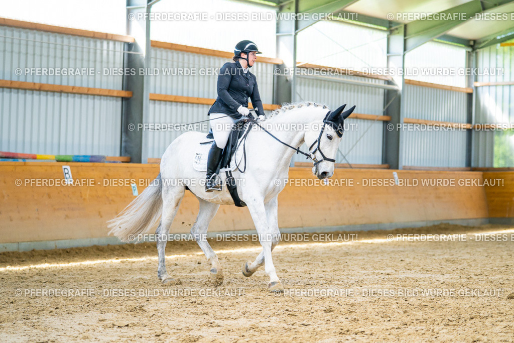 DSC07850 | Pferdegrafie