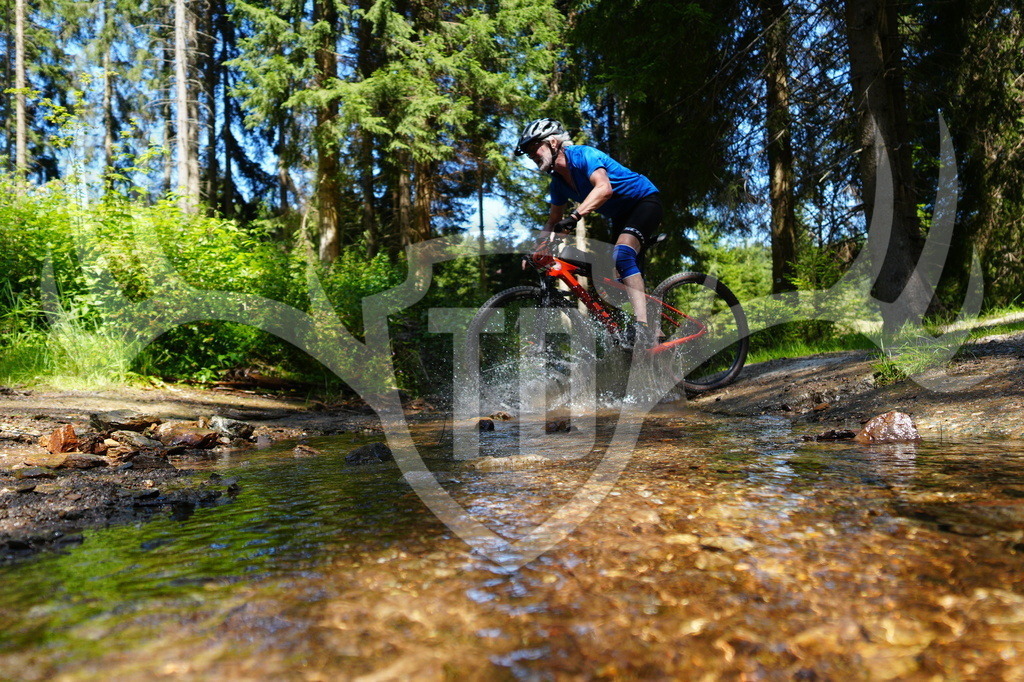 FC605376 | Fotogalerie der Treibjagd im Dunkelwald - Dein MTB Etappenrennen im Erzgebirge - Realisiert mit Pictrs.com