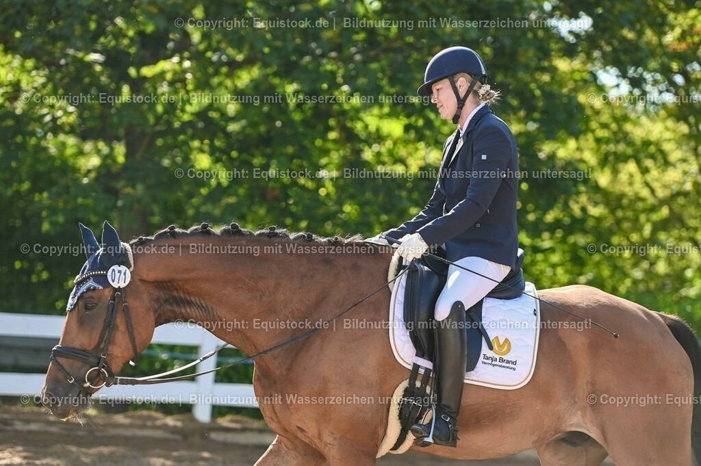 20230715_06_Dressurpferdeprfg. Kl.A_0225 | equistock