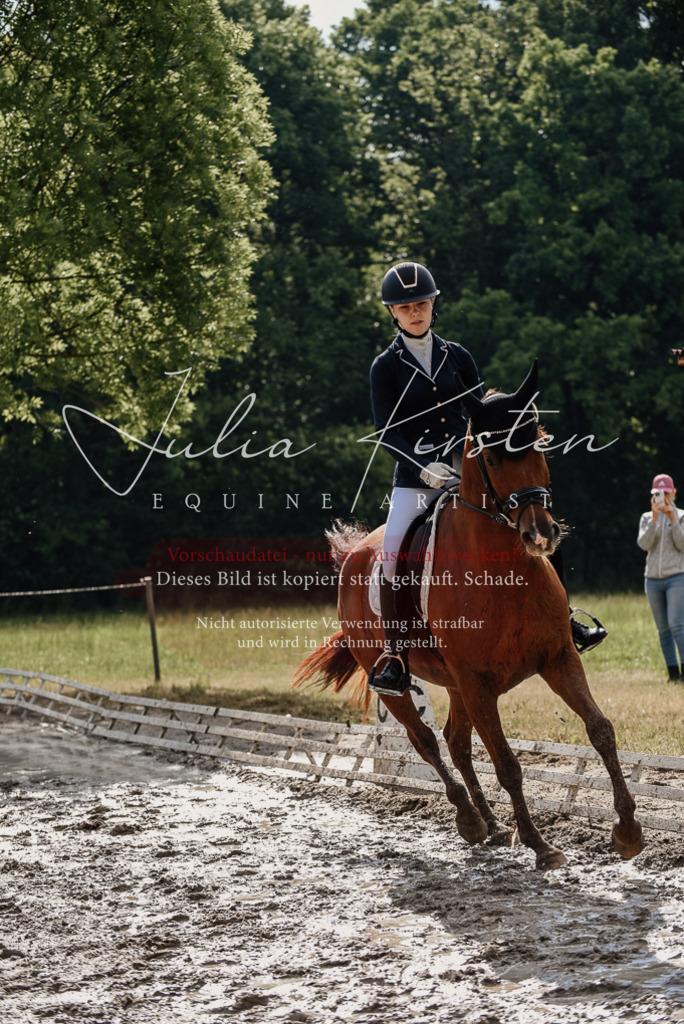 DSC_8892 | Pferde- und Turnierfotografie in Westsachsen. Pferdeportraits, Auftragszeichnungen und intuitive Kunst.