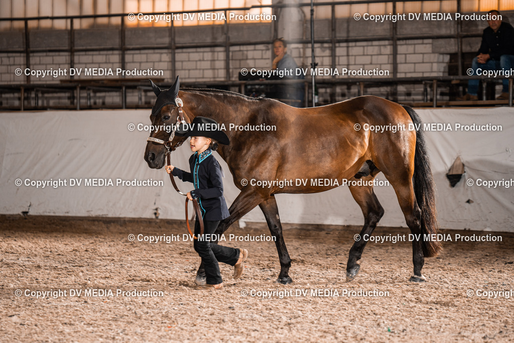 ZH100041 | dv-media-shop - Realisiert mit Pictrs.com