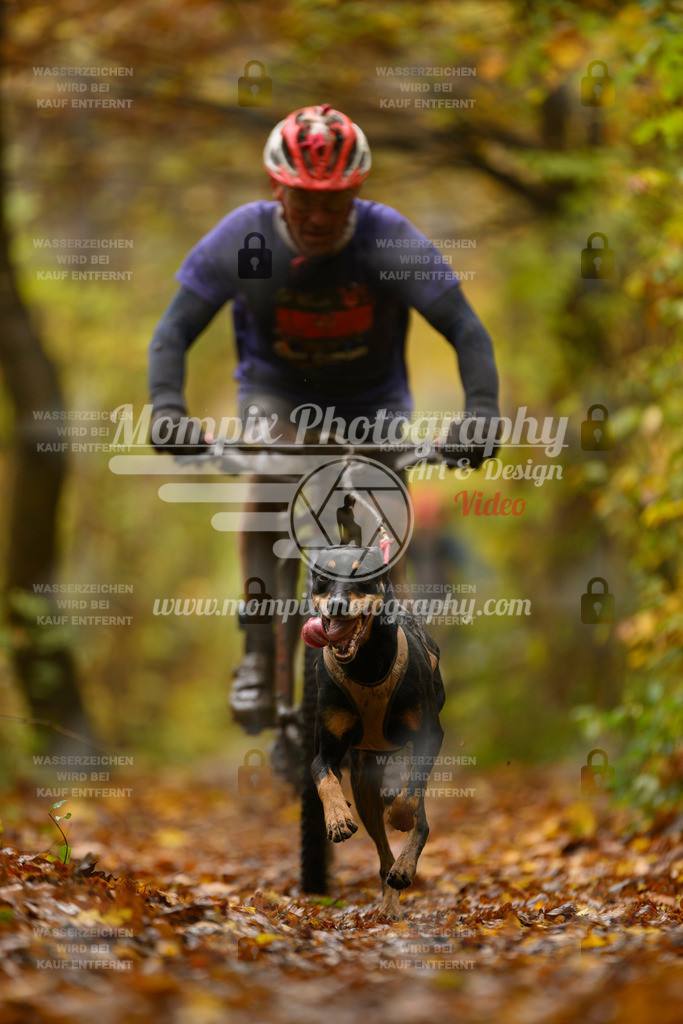 MompixPhotography_CD7S_DI_Bike-43 | mompixphotography