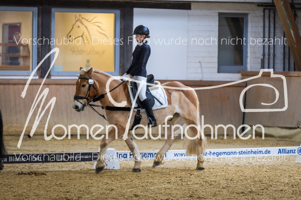 _M2A1598 | MomenTaufnahmen Pferdesportfotos