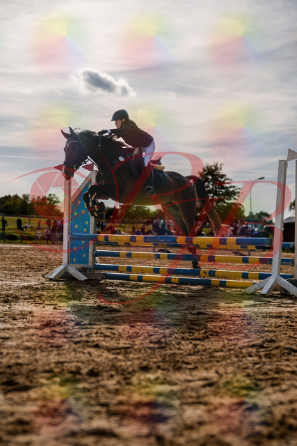 2026_10_03_Siefer-Hof_155929_Z63_11252491 | Professionelle Reitsport-, Turnier- und Eventfotografie von Robert Broda. Galerien mit ausgewählten und bearbeiteten Bildern direkt online ansehen und bestellen.