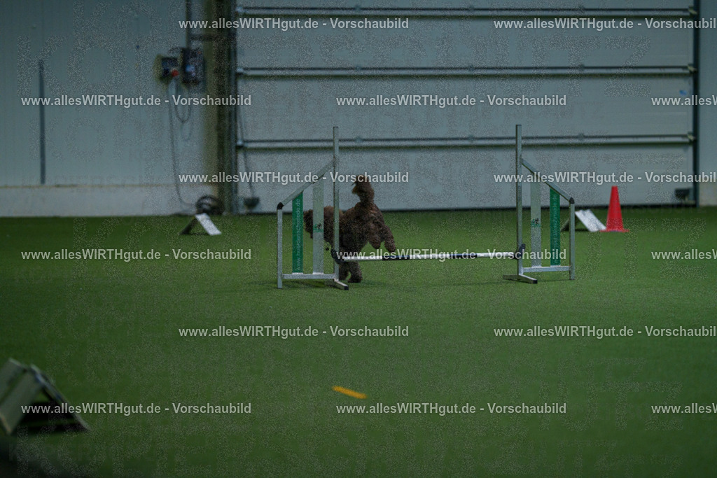 7R503575 | Professionelle Tierfotografie in Mönchengladbach von Daniel Wirth (allesWIRTHgut). Liebevolle & natürliche Bilder von Hunden & Katzen für unvergessliche Erinnerungen.