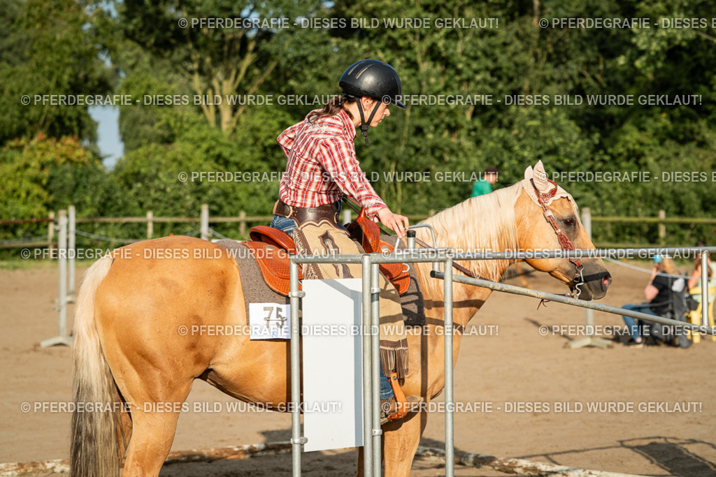 DSC06112 | Pferdegrafie