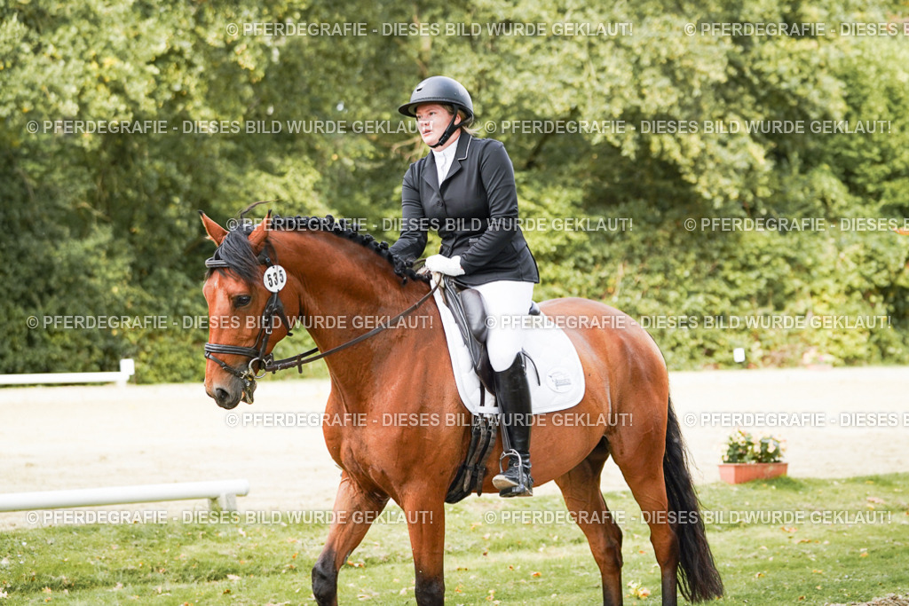 DSC02135 | Pferdegrafie