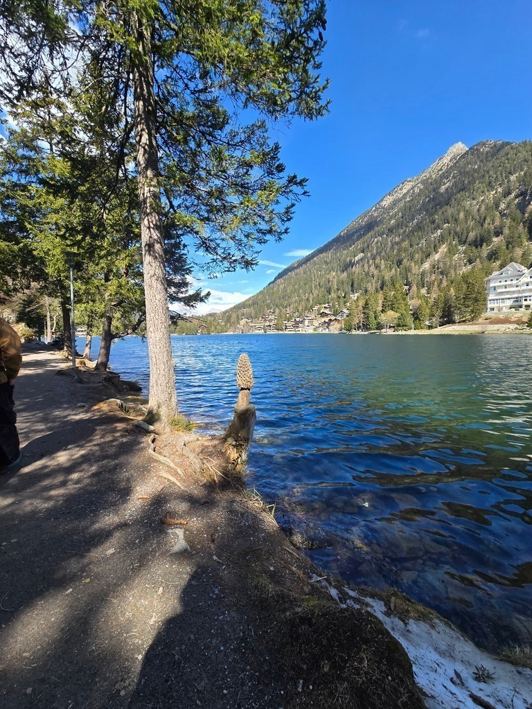 20250409_111702 | Heilkarten - Realisiert mit Pictrs.com