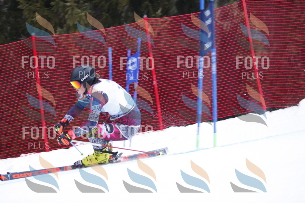 D4826 | holidayphoto