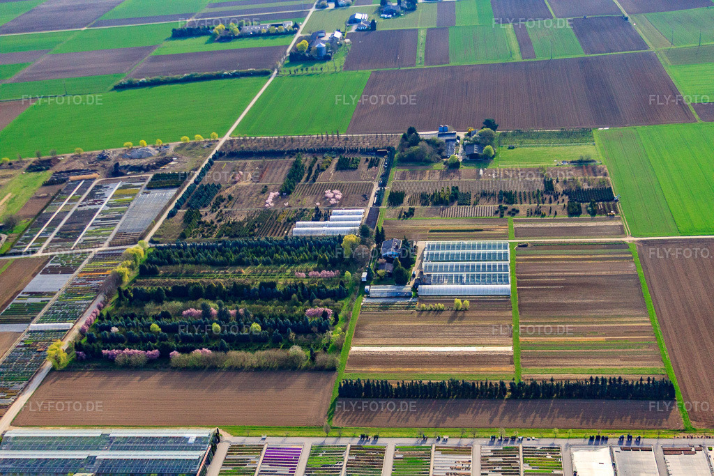 Luftbild: Baumschule Schillinger H.-J. und S., Im Kornfeld in Möglingen im Bundesland Baden-Württemberg in Deutschland. Foto: IMG_39357.jpg vom 03.04.2011 durch Werner Riehm/FLY-FOTO.de