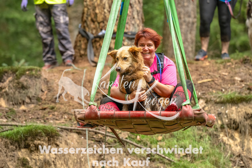 1336_ZZ93411-Bearbeitet | kk-dogfotos