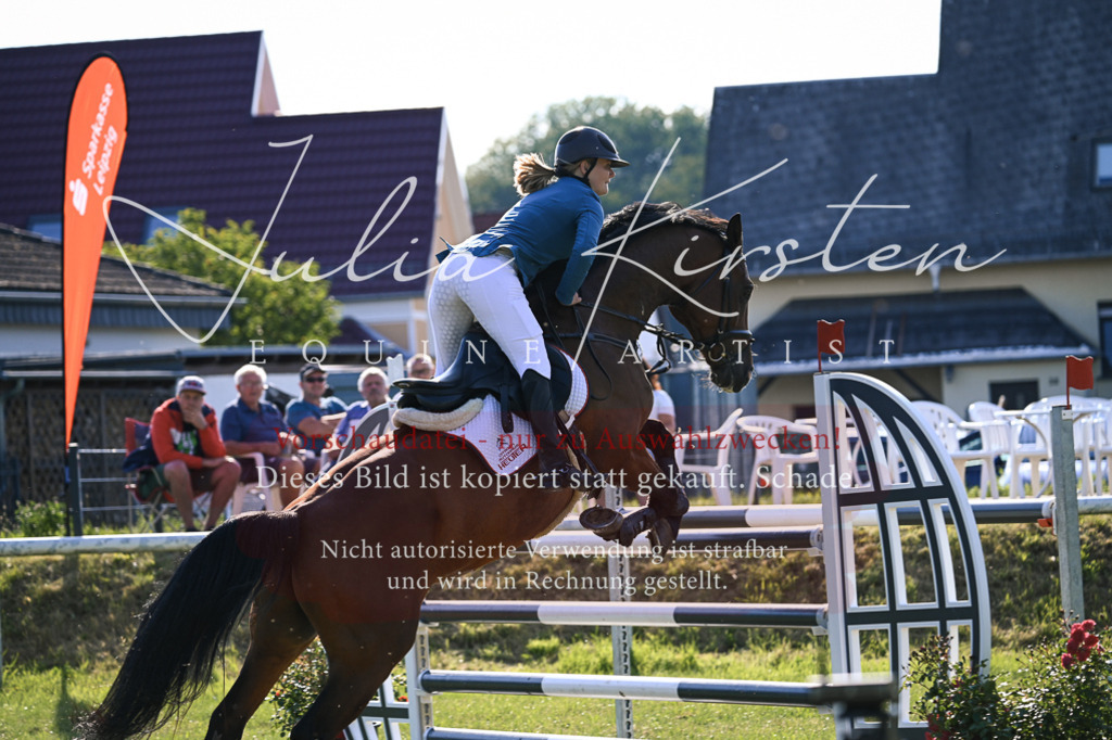 DSC_1598 | Pferde- und Turnierfotografie in Westsachsen. Pferdeportraits, Auftragszeichnungen und intuitive Kunst.