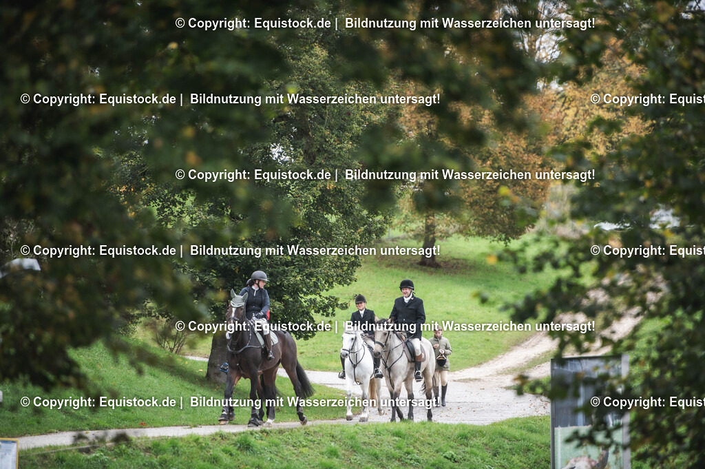 20241013_Jagd-Marbach_0081 | Foto: Thomas Hartig