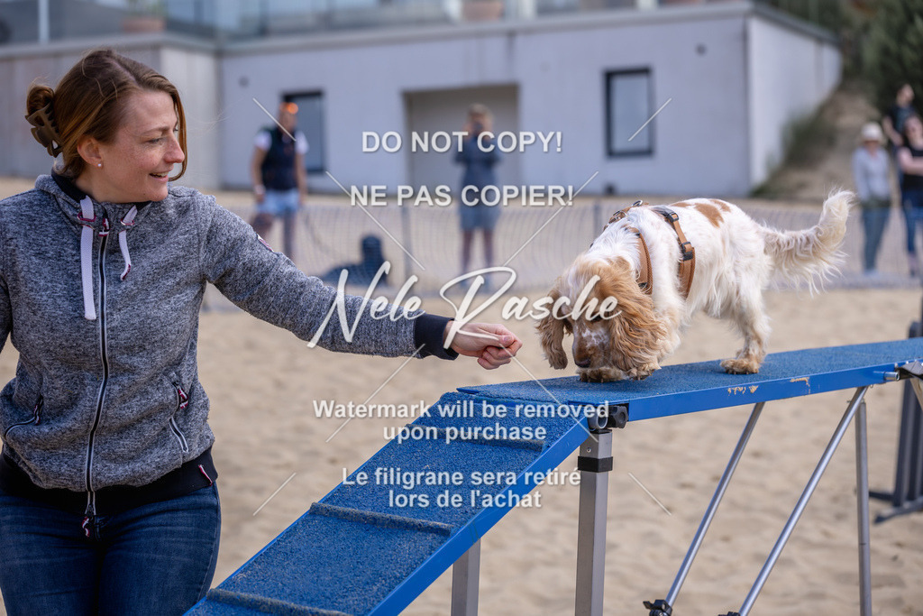 NR__2412 | nelerasche