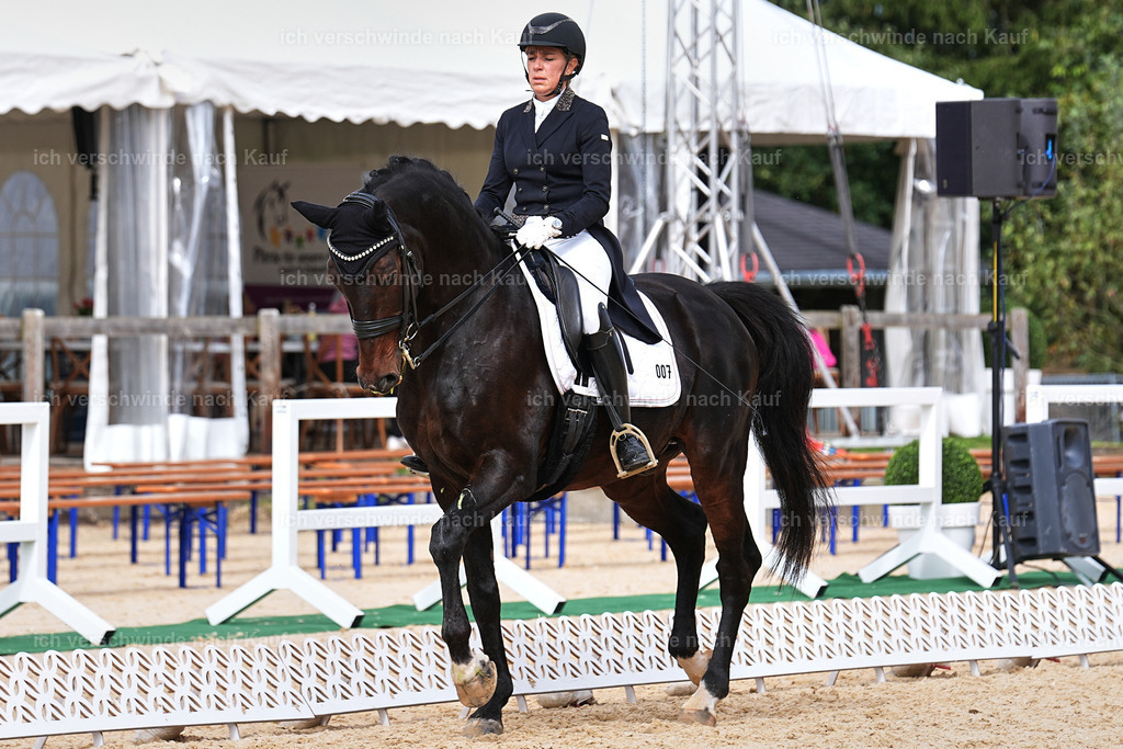 11-007-Dressur S___-Marixx-1694 | working equitationturnier fotograf videograf stoibphotography marixx film working equitation deutschland reitsport turnierfotografie eventfotografie equestrian events