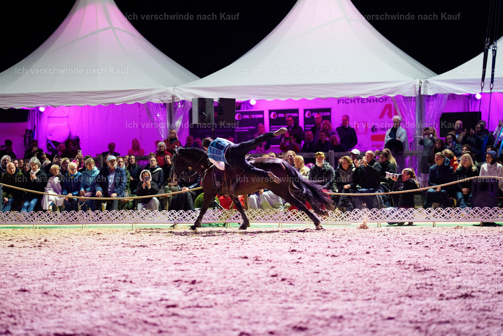 Gala-659 | working equitationturnier fotograf videograf stoibphotography marixx film working equitation deutschland reitsport turnierfotografie eventfotografie equestrian events