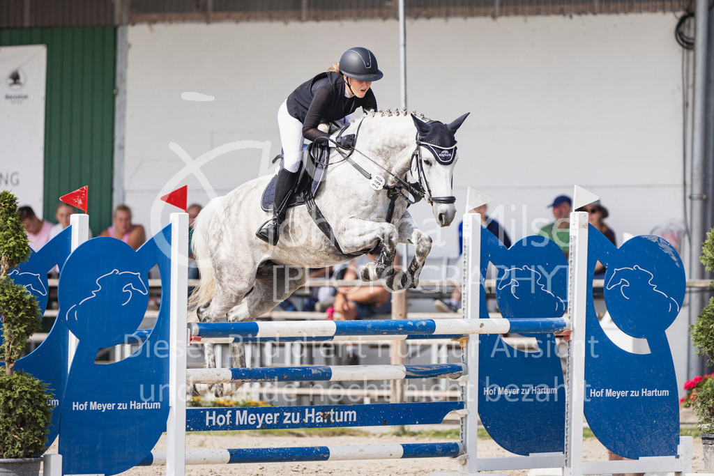250629_PfSpTa_Stil-L2-335 | Deine schönsten Turniermomente als professionelle Fotos! Entdecke hochwertige Pferdesport-Fotografie im Online-Shop. Jetzt Fotos finden & bestellen!