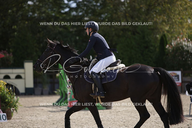 1J2A3487Freya Sophie Langhans_ Comme Toi_ Kn260_ Havekost | Foto- und Videografie für alles rund ums Pferd. Hochwertige Bilder und Videos vom Spring- und Dressurreiten, Voltigieren & mehr. Jetzt aktuelle Veranstaltungen und Preise im Shop ansehen. - Realisiert mit Pictrs.com