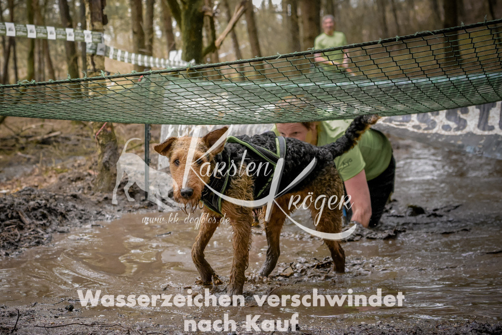 1002_ZZ99003 | kk-dogfotos
