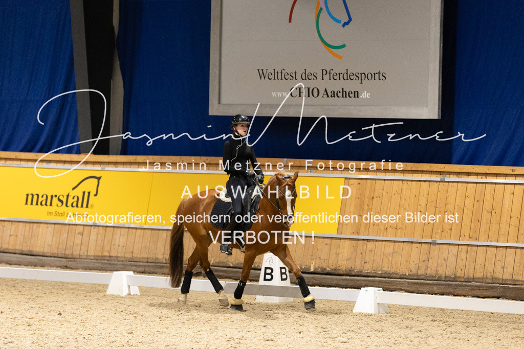 126A8181 | jasminmetznerfotografie