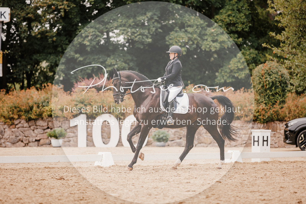 3I6A5988 | Stimmungsvolle Portraits und Reitsportfotografie im Ruhrgebiet und im Münsterland.

Pferdefotografie, Hundefotografie, Tierfotografie, Reportagen, Portraits von Tier und Mensch, Turnierfotografie in Bochum, Recklinghausen, Marl, Haltern am See, Dülmen.. - Realisiert mit Pictrs.com