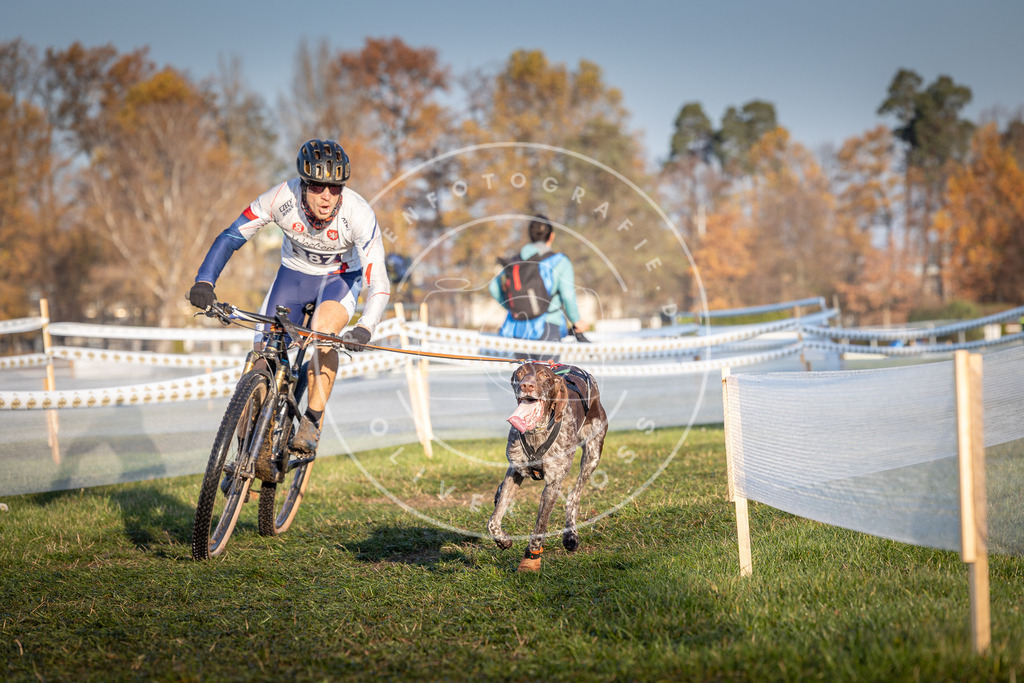 CaniXpix_0L8A3804 | Hundefotografie, Tierfotograf, Pfotenfotografie, Fotoshooting Hund, Hunde Portrait, Hundesport, Hundeportraits, Heideshooting, Hunde, Sportfotograf, Hundefotograf, Turnierhundsport, THS,  - Realisiert mit Pictrs.com