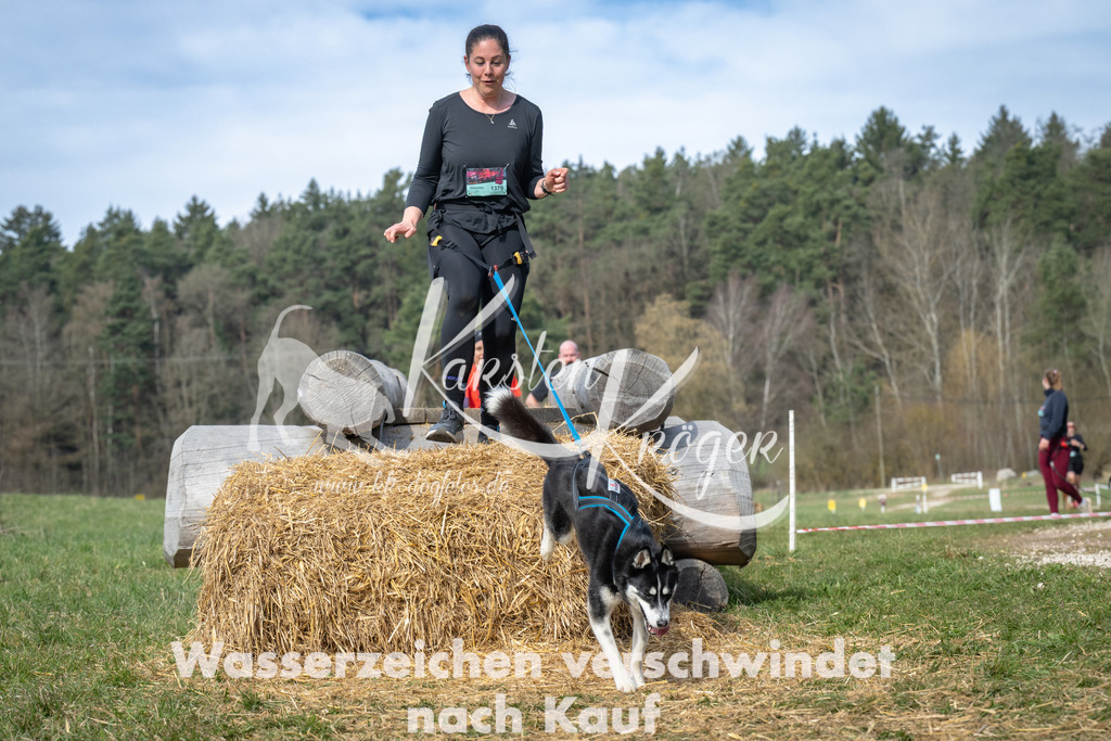 1034_ZZ92651 | kk-dogfotos