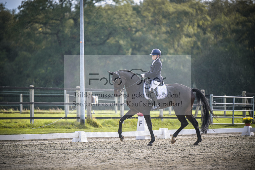 DOS_B225 | Entdecke hochwertige Reitturnierfotos von Foto Oger. Professionell, emotional und authentisch – jetzt Lieblingsmomente im Shop bestellen.Deutschlandweite Turnierfotografie. - Realisiert mit Pictrs.com