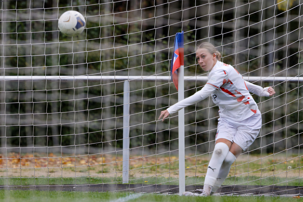 FCEFCH_251012_4704 | Fotopresso – Sportfotografie in Heidenheim & Umgebung. Professionelle Sportfotografie für unvergessliche Momente. Dynamische Action-Shots, emotionale Szenen & hochwertige Bilder. - Realisiert mit Pictrs.com