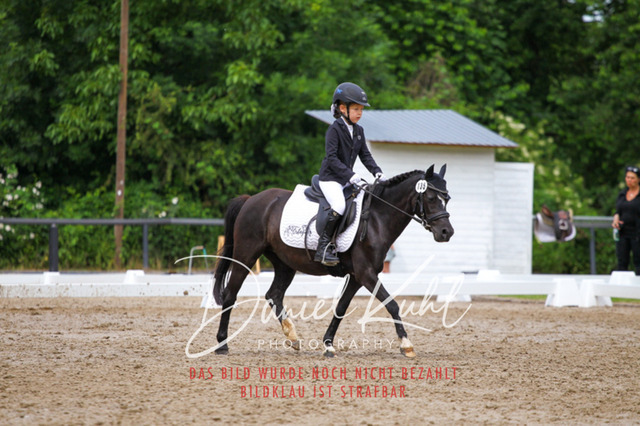 DKP47500 | Turnierfotos kaufen im Webshop von Daniel Kuhl Photography – entdecke professionelle Reitsportfotos aus Turnieren & Events. Hochwertige Turnierbilder online bestellen & sichern. Jetzt Fotos von Reitsportturnieren kaufen!