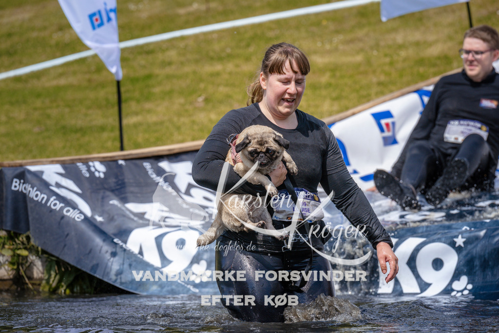 _ZZ990161049 | kk-dogfotos