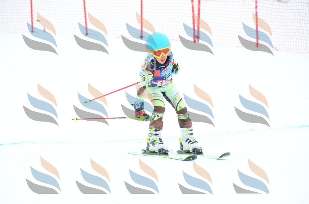 DSC_1653 | holidayphoto