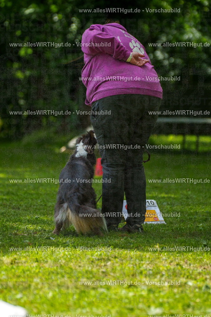 @allesWIRTHgut_Tierfotografie - www.allesWIRTHgut.de - 7R504915 | Professionelle Tierfotografie in Mönchengladbach von Daniel Wirth (allesWIRTHgut). Liebevolle & natürliche Bilder von Hunden & Katzen für unvergessliche Erinnerungen.