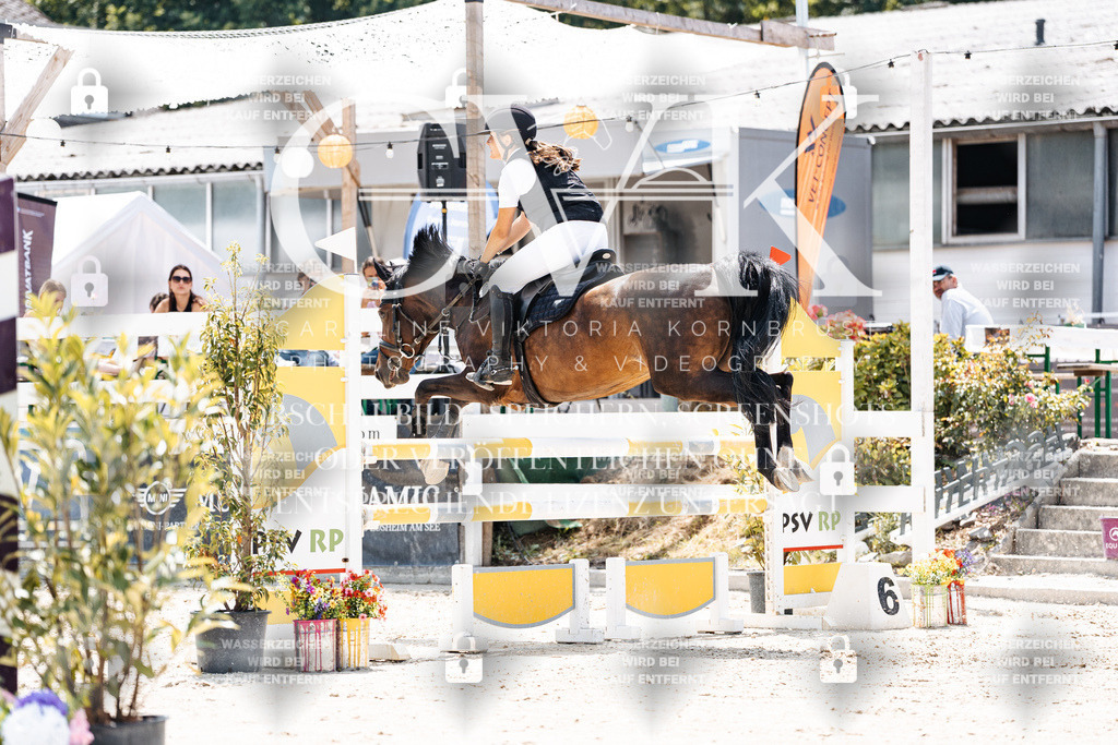 CK907551 | Turnierfotografie Pferdefotografie Trier Rheinland-Pfalz Pferdesport Reitsport Tierfotografie Sportfotografie Pferdevideo Pferdevideografie Equestrianvideography equestrianphotography  - Realisiert mit Pictrs.com