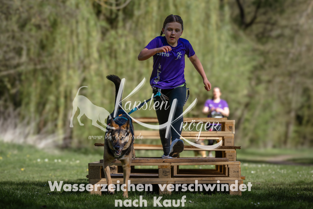 1011_ZZ94599 | kk-dogfotos