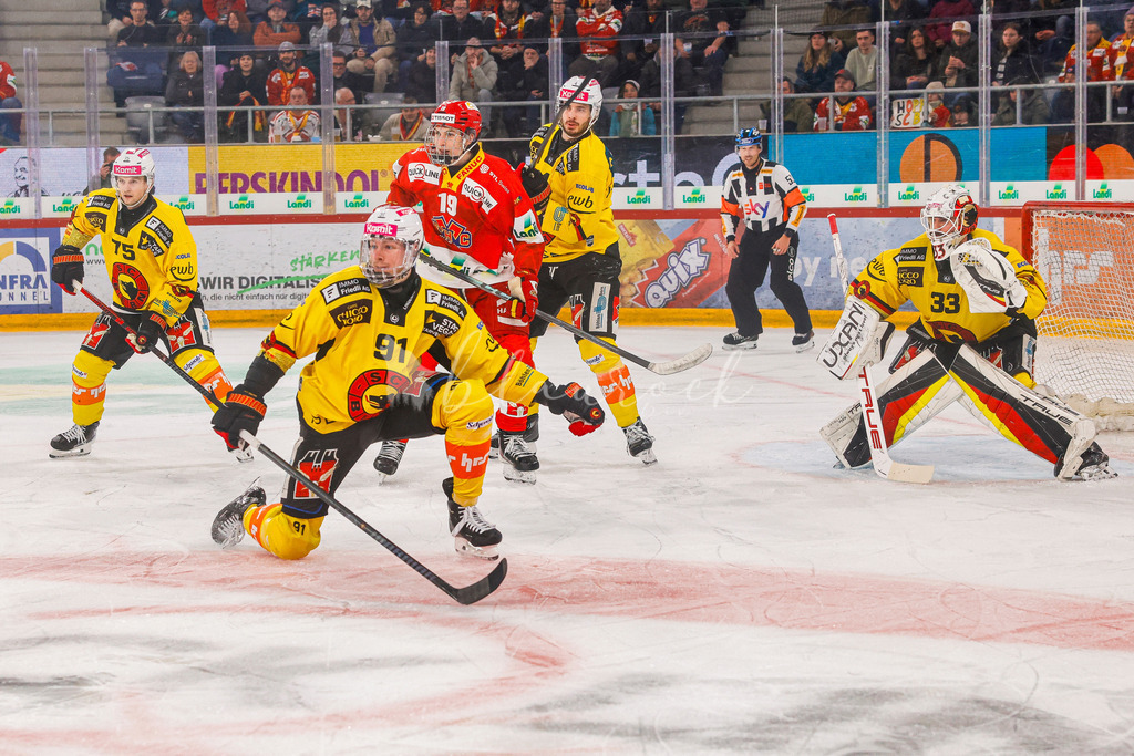 EHCB vs SCB 20260110_wb-3226 | Sportbilder, Sportfotograf, Hochzeits- und Eventfotografin, Flugshows, Portraits und Tiershooting, Aviation, Downhill, Nationalleague, Swissleague, International