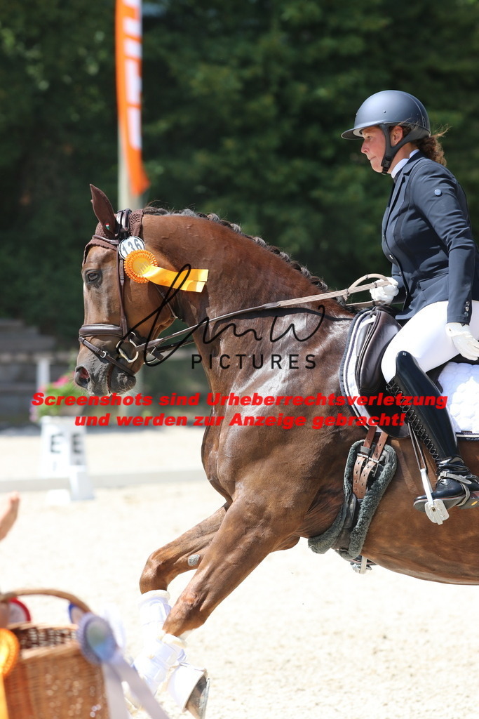 IMG_4987 | lmwpictures - Realisiert mit Pictrs.com