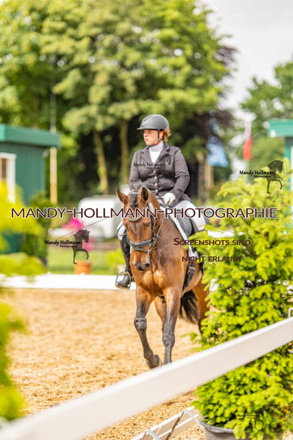 RPF 4 Filsum (91 von 535) | mandyhollmannphotographie