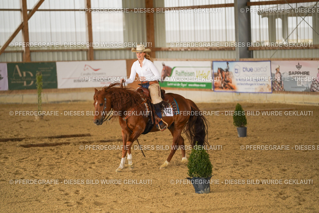 DSC02512 | Pferdegrafie