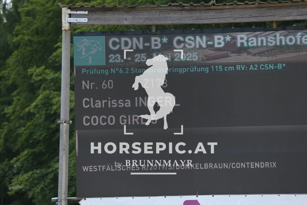 DL2Q1460 | Willkommen bei Brunnmayr - Design & Fotografie – Ihrem Spezialisten für Reitturniere und Pferdeveranstaltungen in Oberösterreich, Salzburg und Bayern! Seit über 17 Jahren sind wir leidenschaftlich dabei.