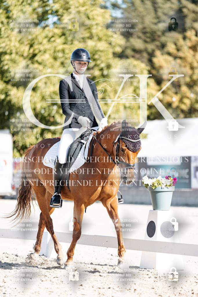 CK907907 | Turnierfotografie Pferdefotografie Trier Rheinland-Pfalz Pferdesport Reitsport Tierfotografie Sportfotografie Pferdevideo Pferdevideografie Equestrianvideography equestrianphotography  - Realisiert mit Pictrs.com