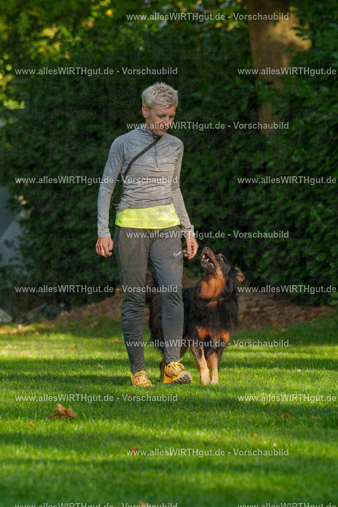 THS_Turnier_27-09-2026-allesWIRTHgut_Tierfotografie-7R505330 | Professionelle Tierfotografie in Mönchengladbach von Daniel Wirth (allesWIRTHgut). Liebevolle & natürliche Bilder von Hunden & Katzen für unvergessliche Erinnerungen.