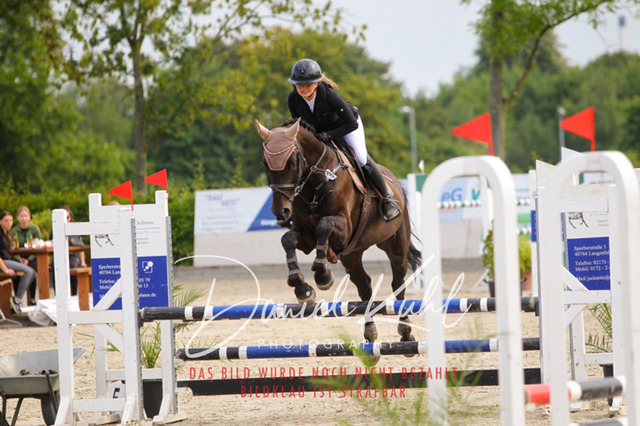 Gut Blee25_Amateuer Stilsprpfg Kl A_0085 | Turniersportfotografie; Pferdefotografie; Dressurfotografie