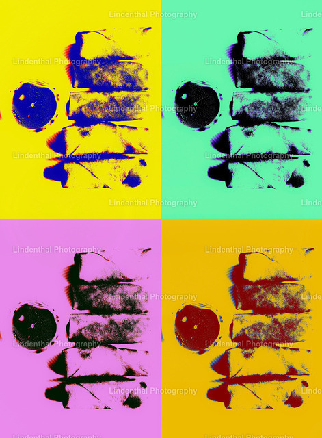 Asia Rolls - Junk Food als Pop Art | Lindenthal.ART - Fotografie und Kunstdrucke auf verschiedenen Medien für dein Zuhause, Büro oder Praxis. Natur und Landschaftsbilder oder Digital ART mit harmonischen Farben und Motiven. - Realisiert mit Pictrs.com