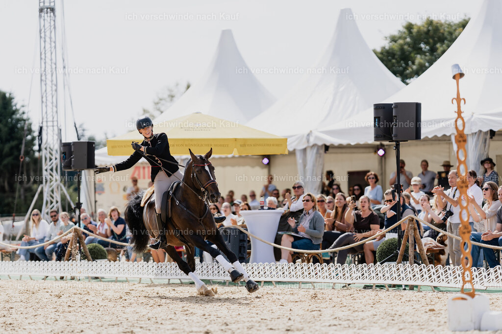Virginie12FHC2025-01729 | working equitationturnier fotograf videograf stoibphotography marixx film working equitation deutschland reitsport turnierfotografie eventfotografie equestrian events