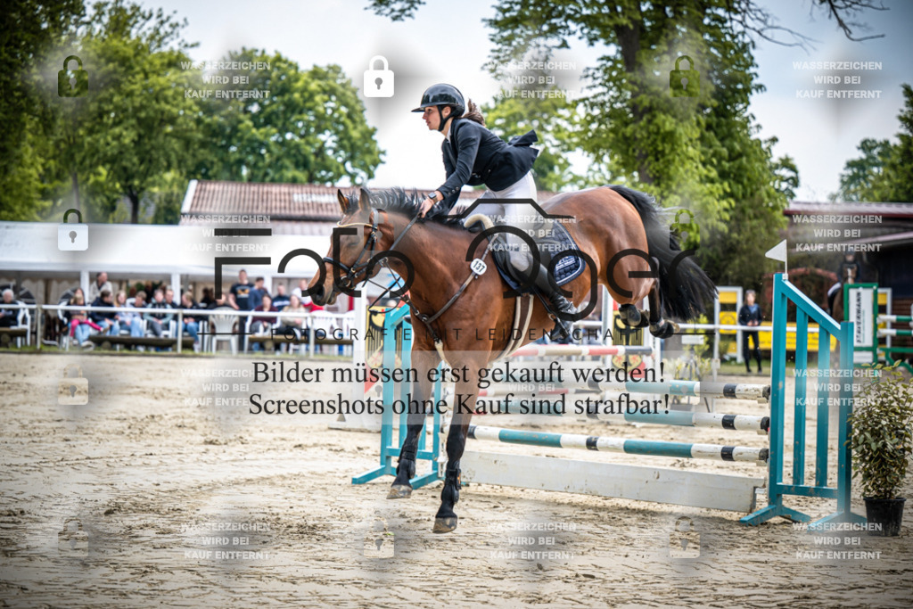 DOS_0579 | Reitturnier Venne - Realisiert mit Pictrs.com