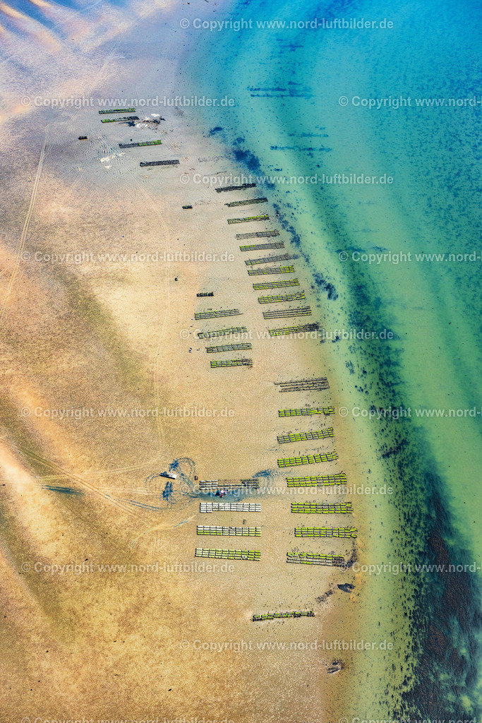 Sylt_List_Wattenmeer_Austernzucht_Sylter_Royal_Dittmeyers_Austernzucht_Companie_ELS_8907130825 | LIST 13.08.2025 Wattenmeer der Nordsee- Küste mit Austern-Zucht-Bänken "Sylter Royal" in List im Bundesland Schleswig-Holstein, Deutschland. Weiterführende Informationen bei: Dittmeyer's Austern-Compagnie GmbH. // Wadden Sea of the North Sea coast with oyster breeding banks "Sylter Royal" in List in the federal state of Schleswig-Holstein, Germany. Further information at: Dittmeyer's Austern-Compagnie GmbH. Foto: Martin Elsen