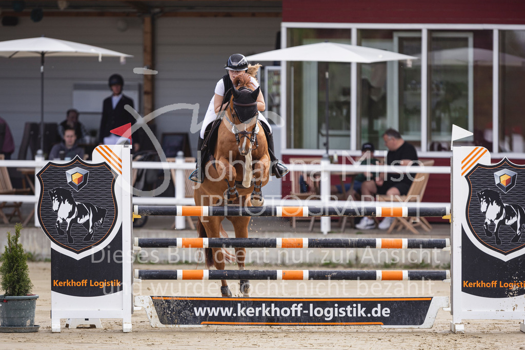 260503_Spenge_7_M2-Spr-m-steig-Anf-703 | Deine schönsten Turniermomente als professionelle Fotos! Entdecke hochwertige Pferdesport-Fotografie im Online-Shop. Jetzt Fotos finden & bestellen!