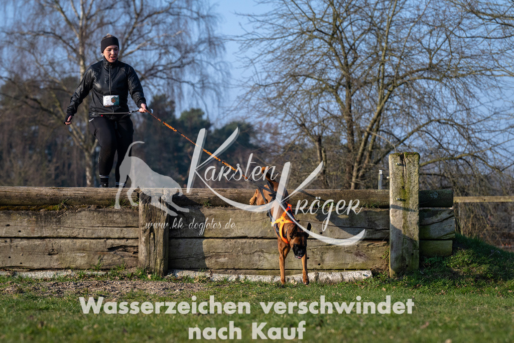 _ZZ91914 | kk-dogfotos